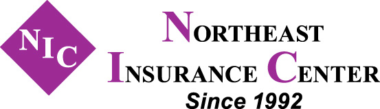 Northeastern Insurance Logo _clr copy World Waterpark